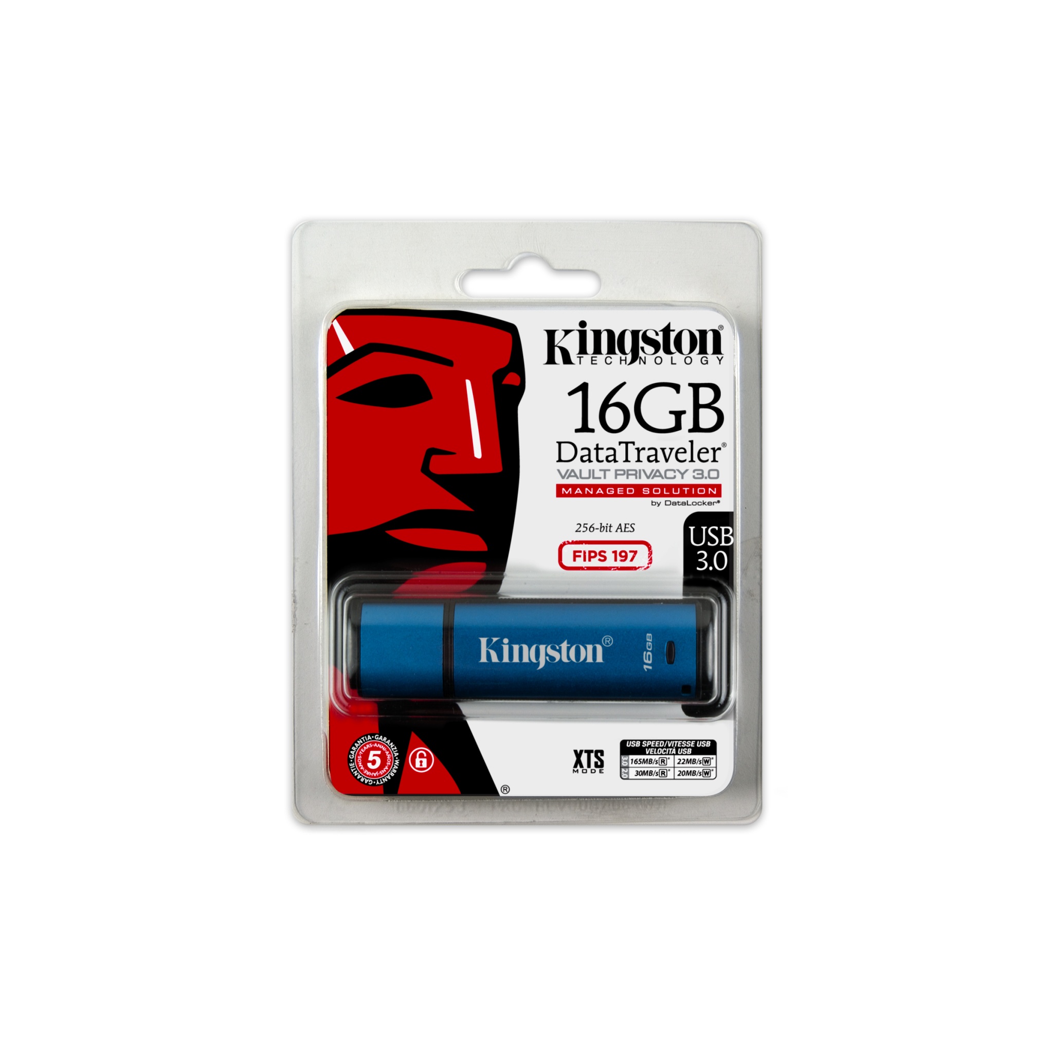 Gb Kingston Datatraveler Vault Privacy Encrypted Usb Flash Drive