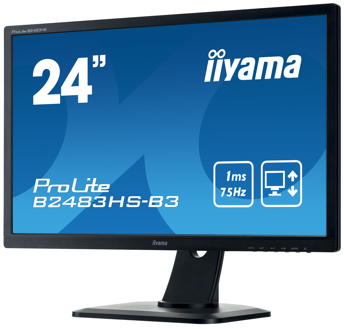 iiyama 2483