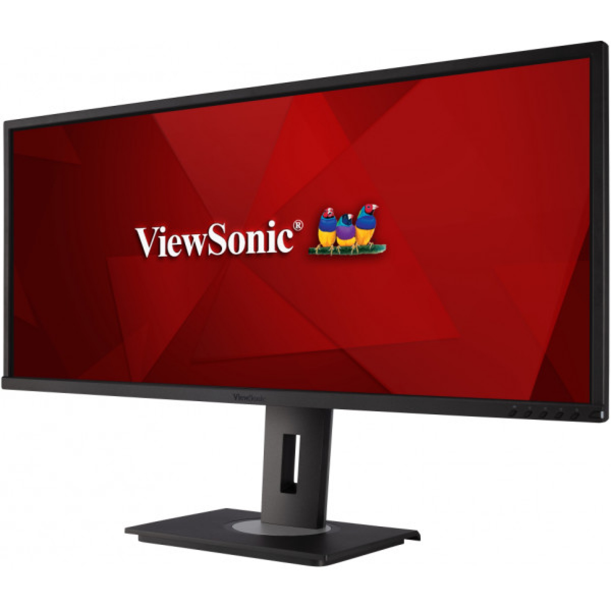 viewsonic vg 2455